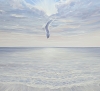 The Soul of the Sea