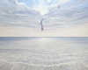 The Soul of the Sea
