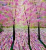Spring Lights