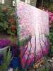 Spring Lights