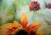 Sunflower 2
