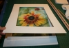 Sunflower 2