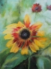 Sunflower 2