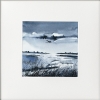 4 monochrome marshes scenes
