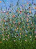 A Symphony Of Colour #2