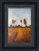 Teasel Field Swallows Leaving