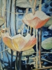 WATER LILIES IV