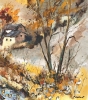 Autumnal orange 