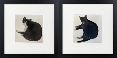 Two black cats framed