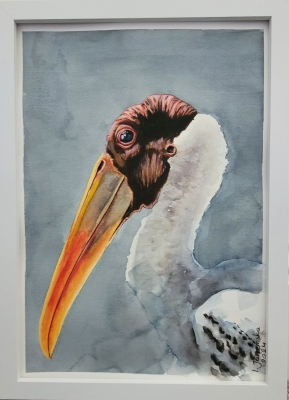 Bald Stork