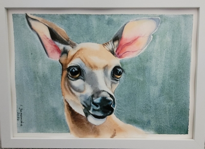 Beautiful Doe