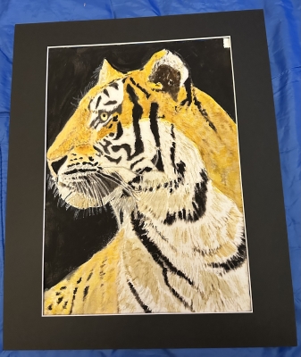 Portrait of a Tiger