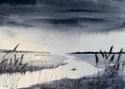 Monochrome marshes, rainclouds & geese