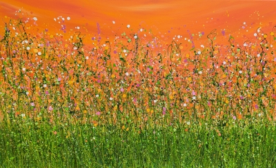Tangerine Summer Dreaming