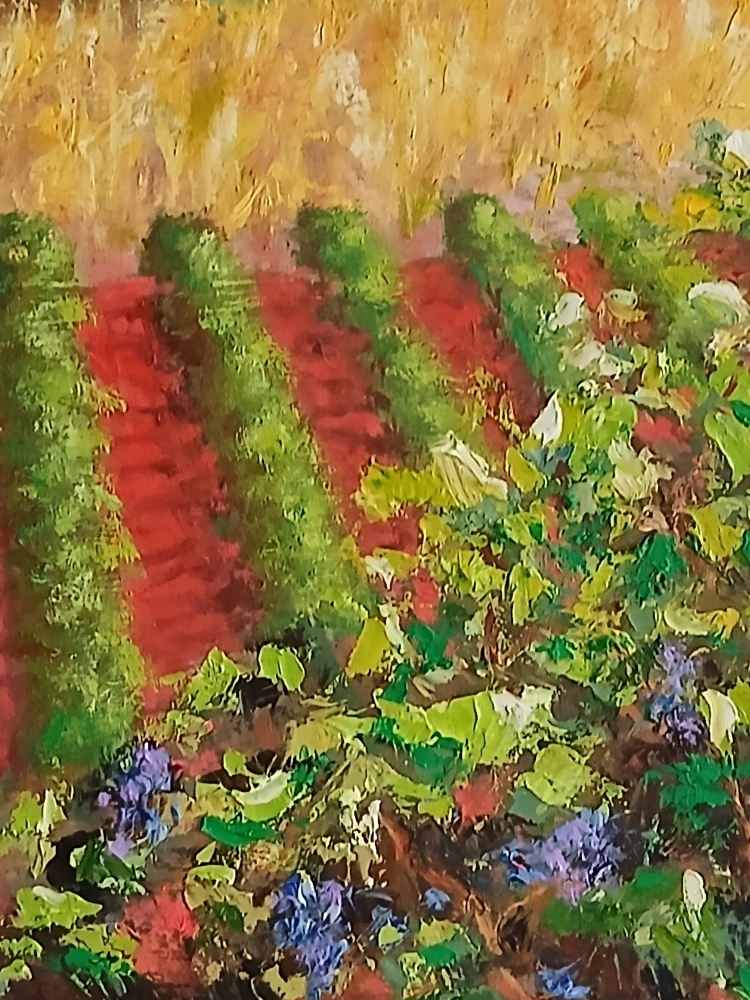 French Vineyards
