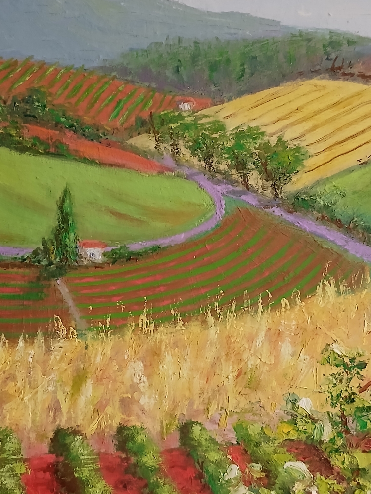 French Vineyards