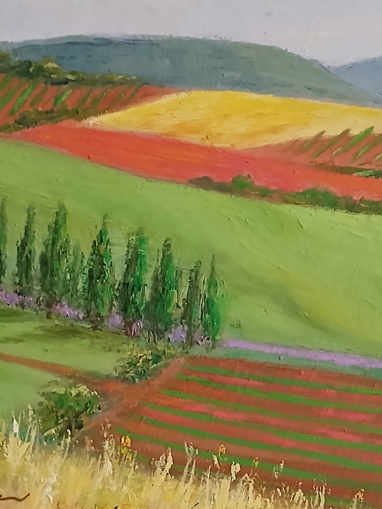 French Vineyards