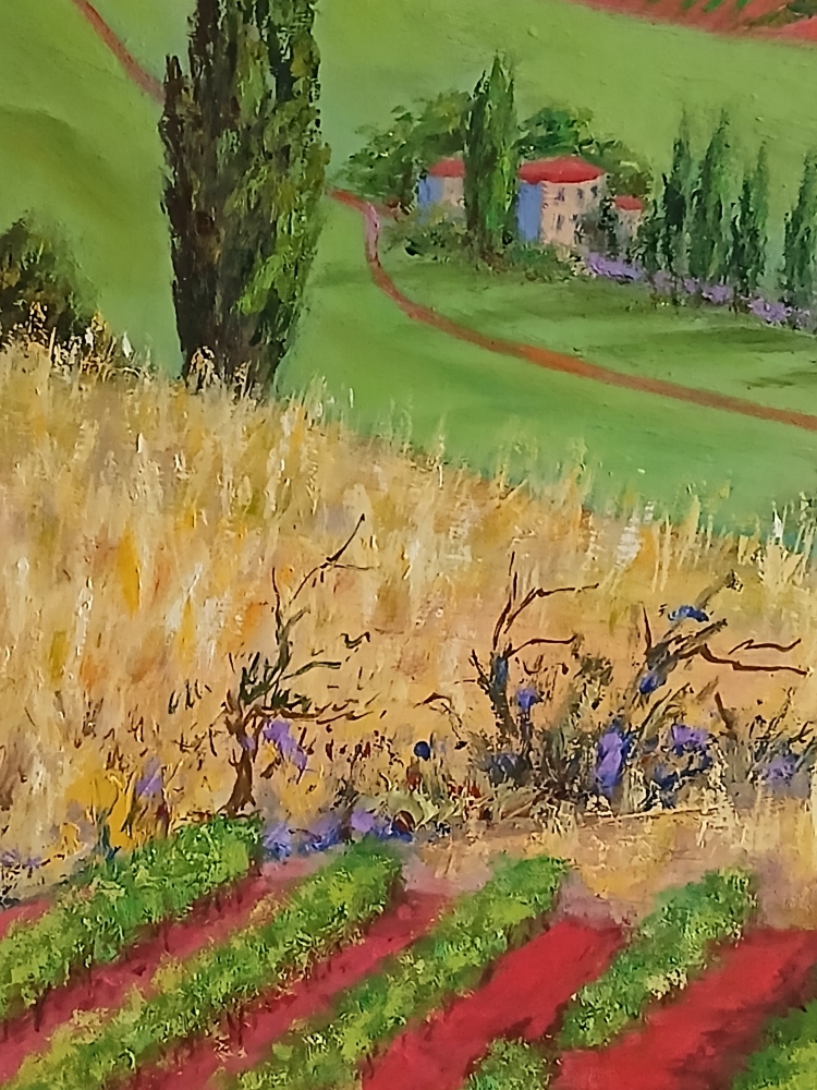 French Vineyards
