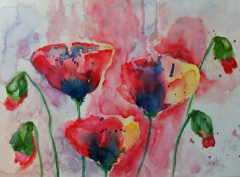Red Poppies