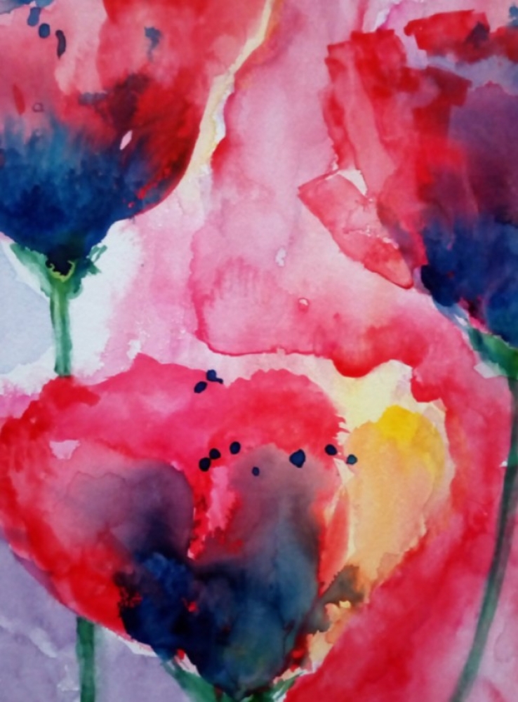 Red Poppies
