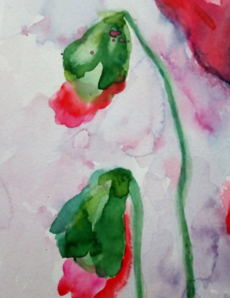 Red Poppies