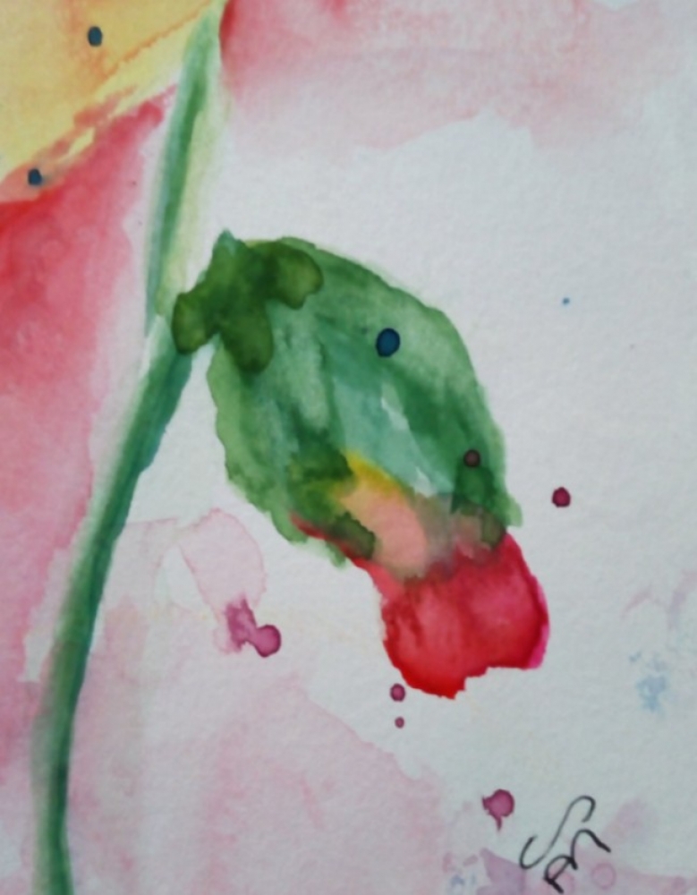 Red Poppies