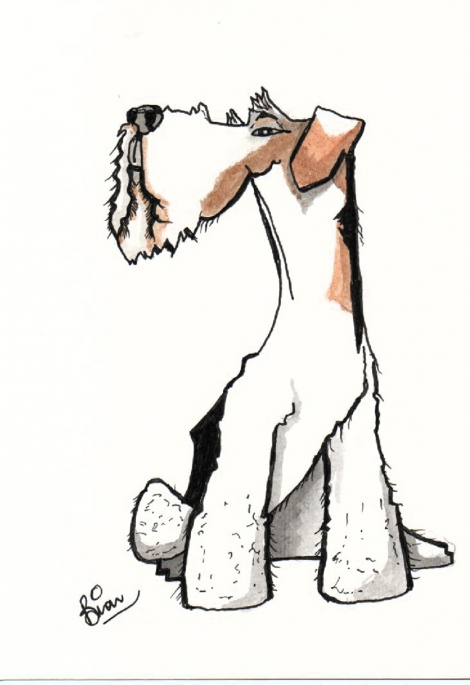 airdale terrier