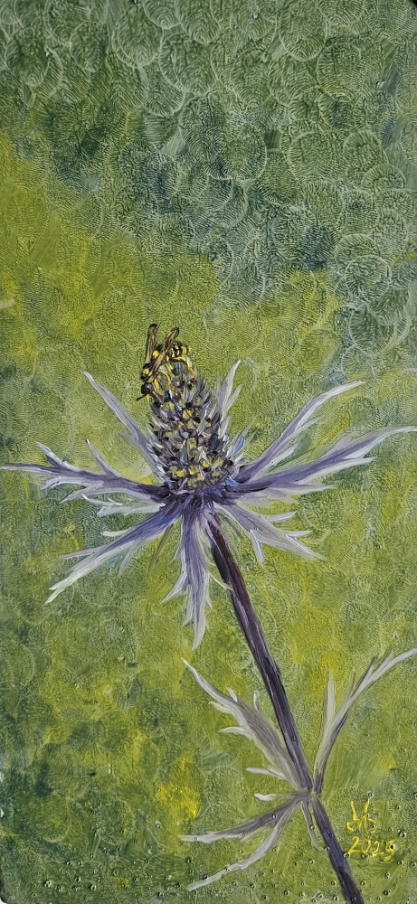 Eryngium & Visitor
