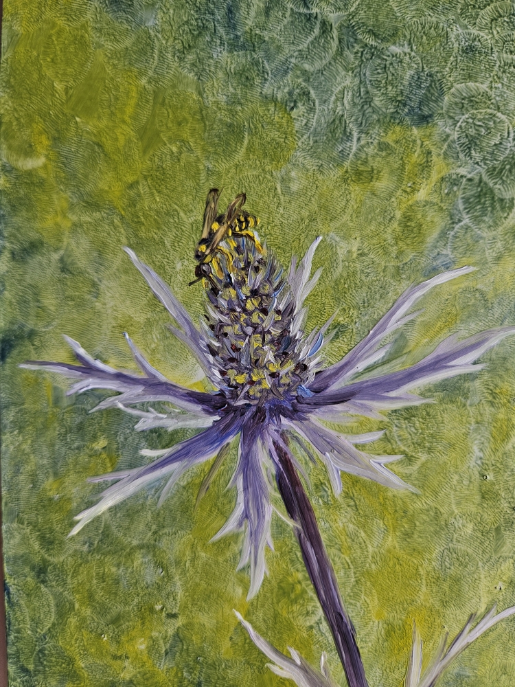 Eryngium & Visitor