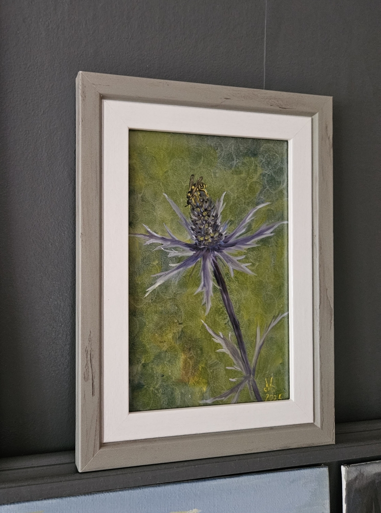 Eryngium & Visitor