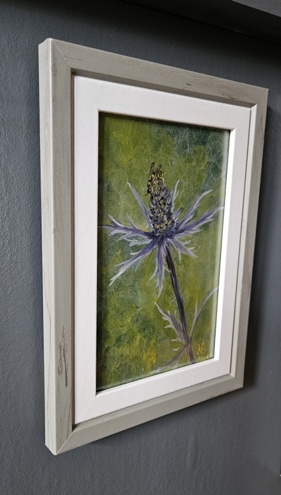 Eryngium & Visitor
