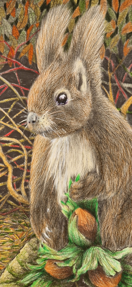 Squirrel and nuts (2022)