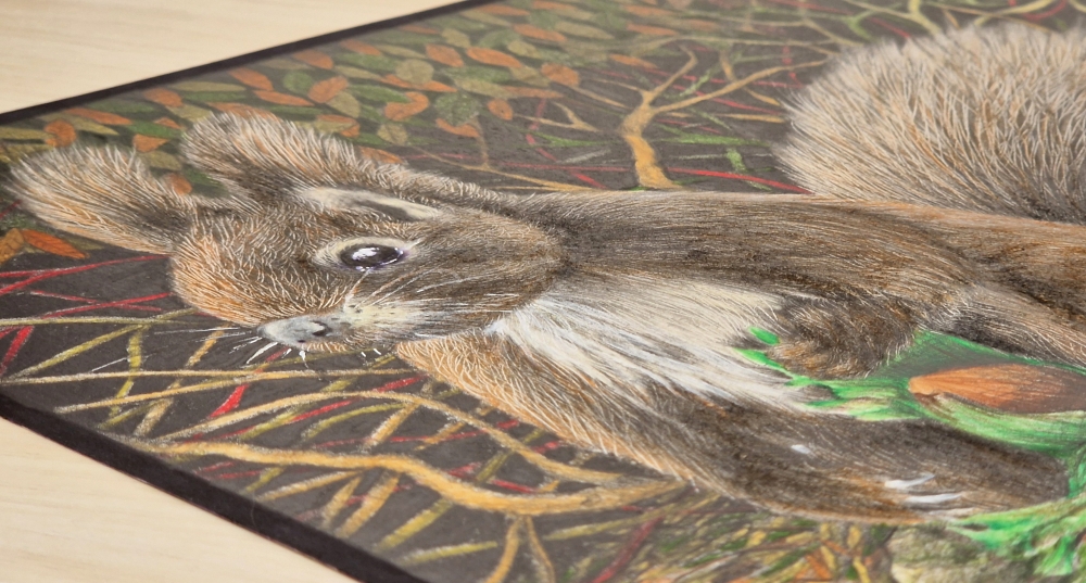 Squirrel and nuts (2022)