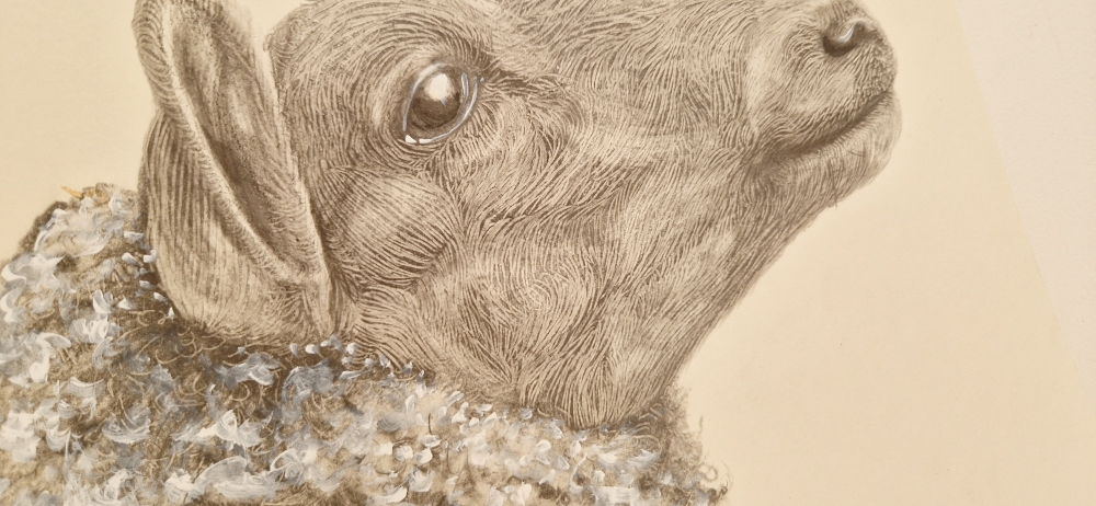 Farm Animals Series - The Sheep (2022)