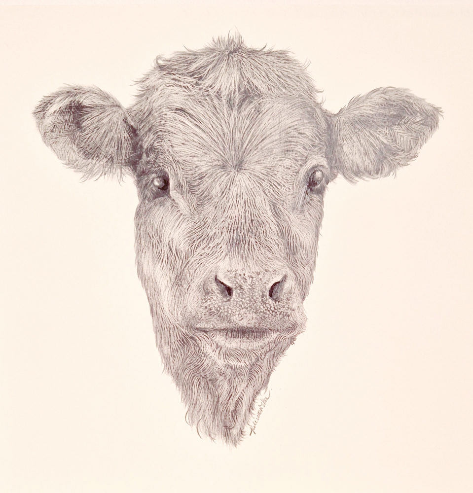 Farm Animals Series - The Calf (2022)