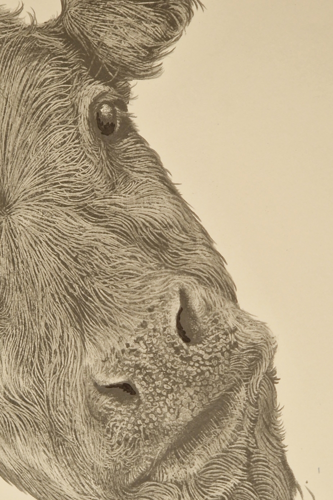 Farm Animals Series - The Calf (2022)