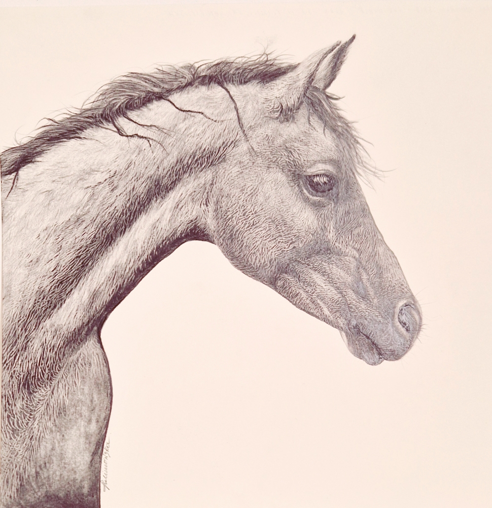 Farm Animals Series- Horse (2022)