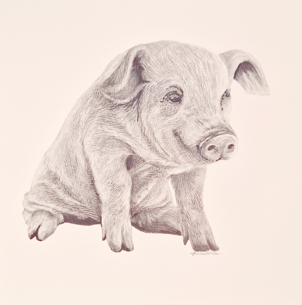 Farm Animals Series - Piggy (2022)