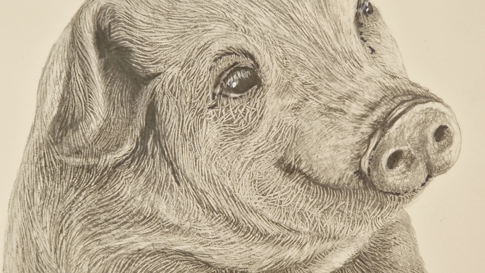 Farm Animals Series - Piggy (2022)