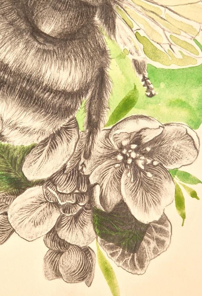 Buzzing in the flowers (2021)