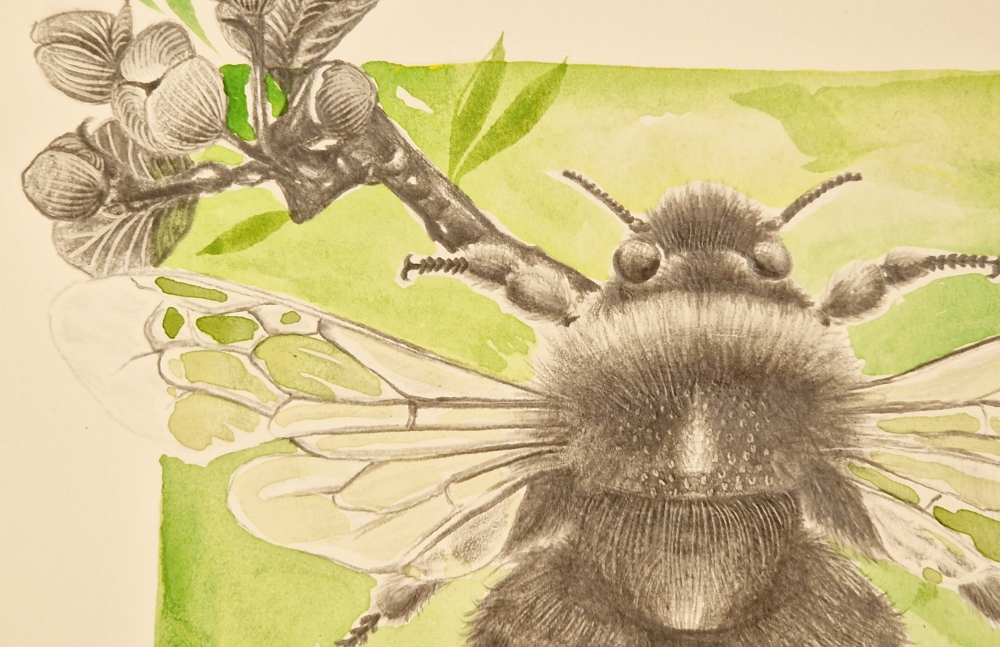 Buzzing in the flowers (2021)