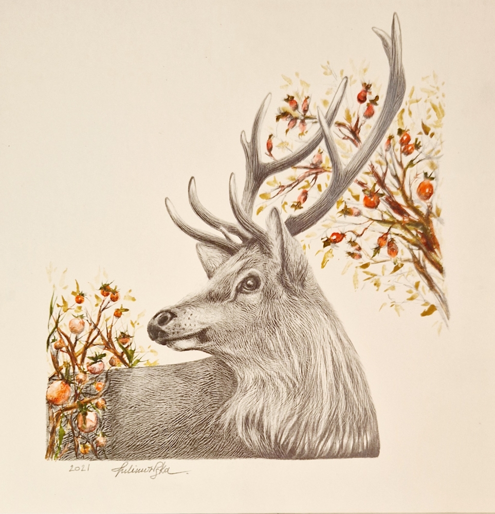 Winter Deer (2021)