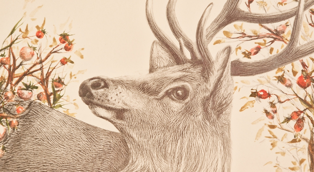 Winter Deer (2021)