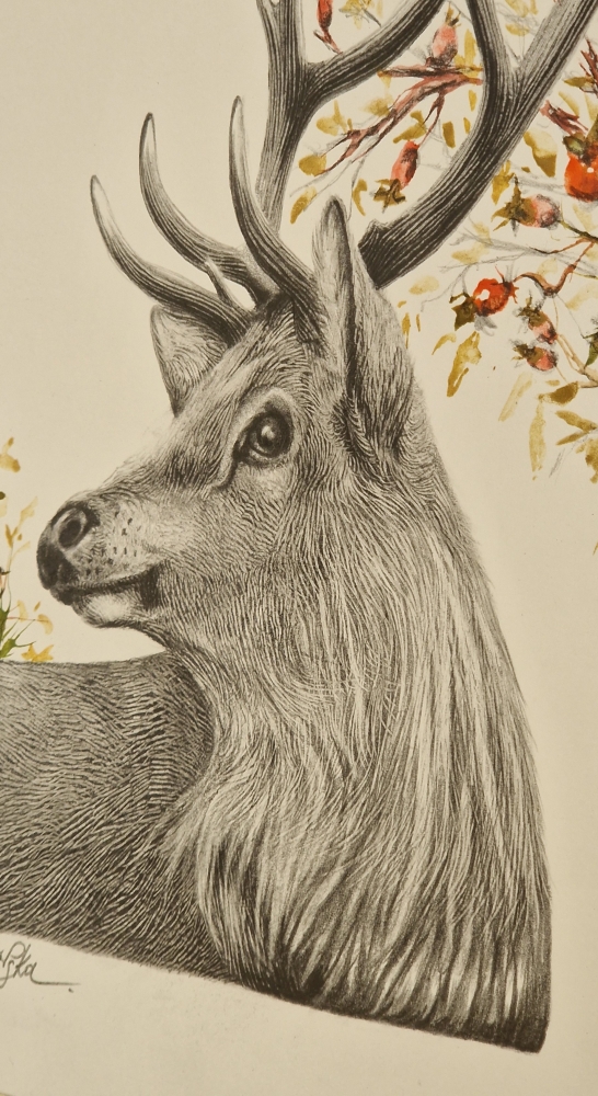 Winter Deer (2021)