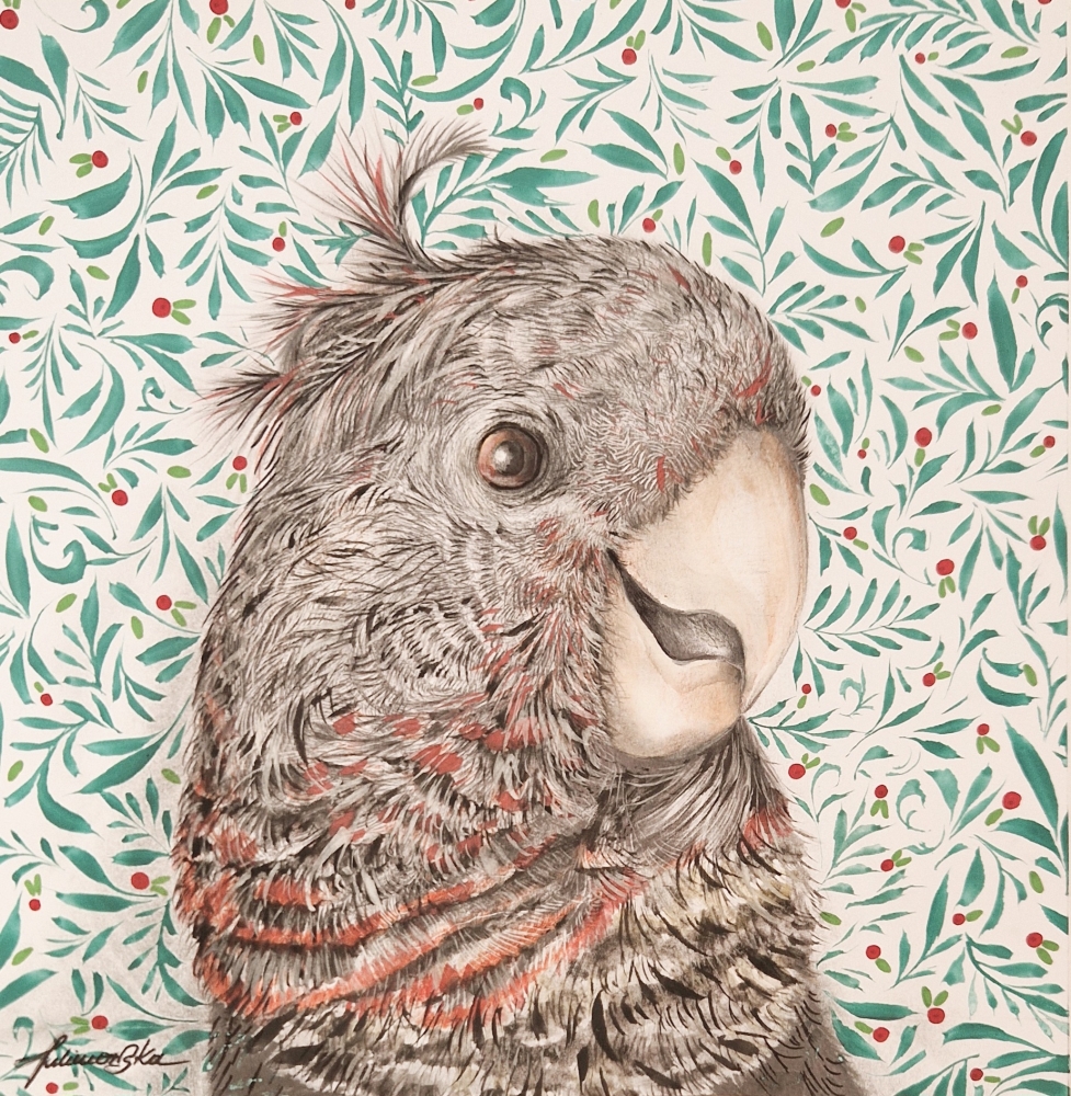 Gang-gang cockatoo (2021)
