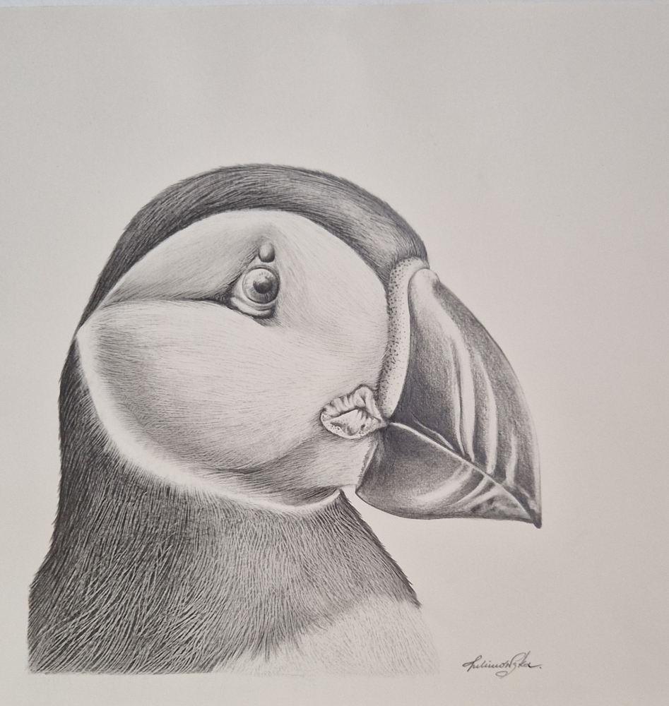 Puffin (2021)