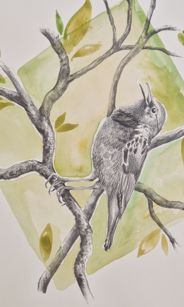 Singing through the branches (2021)