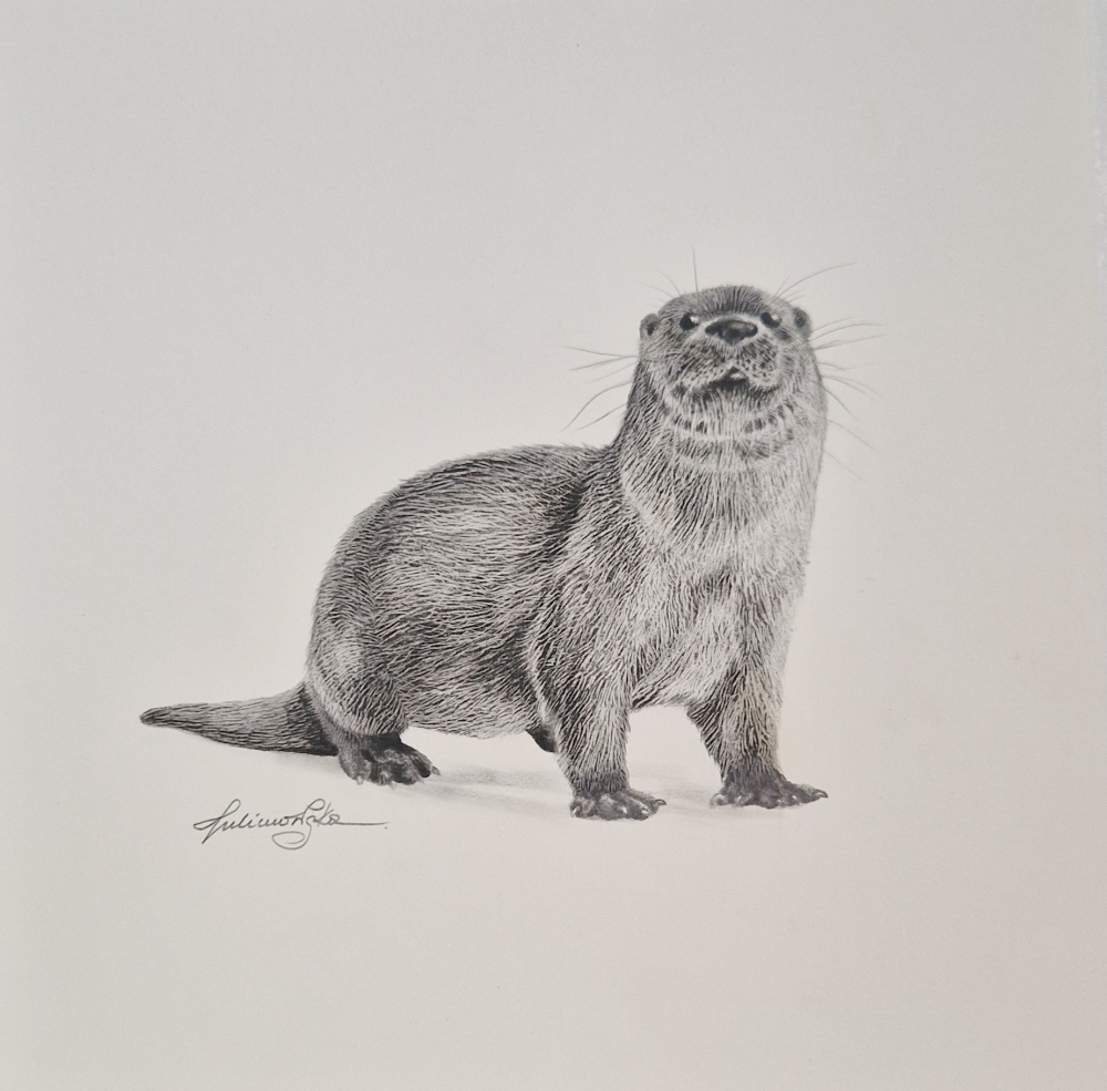Otter (2021)