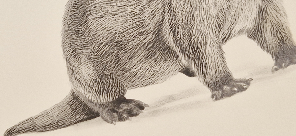 Otter (2021)