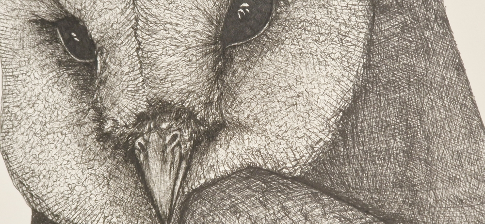 Owl #3 (2016)